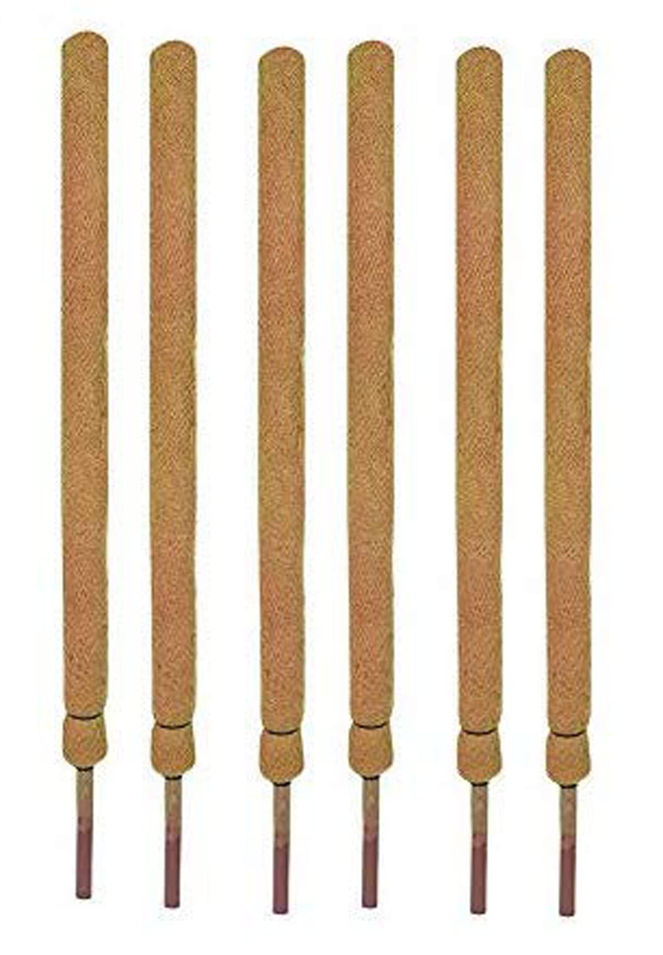 COIR GARDEN COIR MOSS STICK - COCO POLE 3 Feet(91 CM) - 6 PIECES - COIR MOSS STICK for CLIMBING MONEY PLANT, INDOOR & OUTDOOR PLANTS, HOUSING PLANTS SUPPORT STICK (B07BJ33S3V) Amazon Price History, Amazon Price Tracker