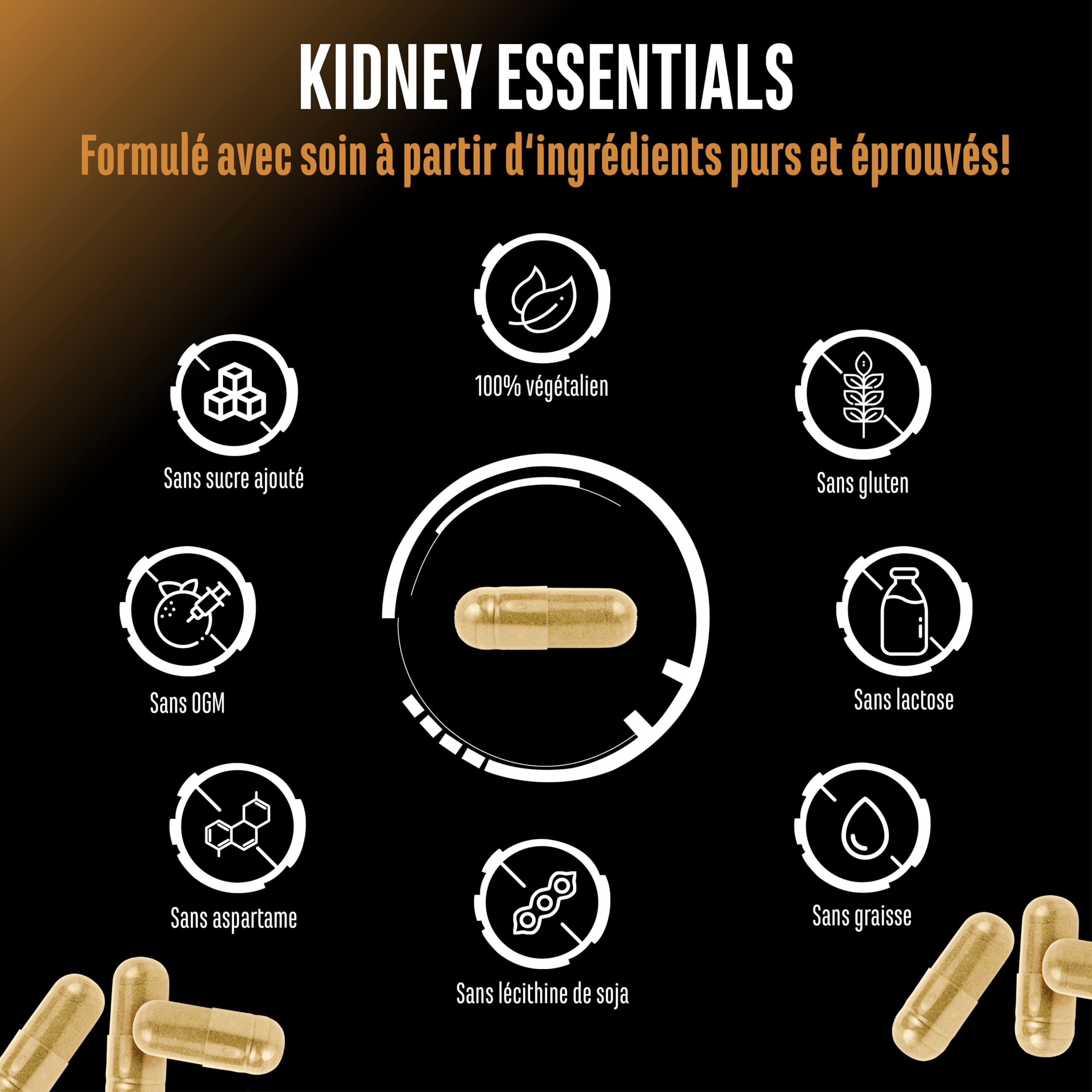 Kidney Essentials - 270 capsules - Complexe Botanical Flush Hautement Dosé avec Extraits d’Astragale, d’Ortie, de Cerise Griotte, d’Écorce de Pin, de Céleri et de Verge d’Or - Vegan