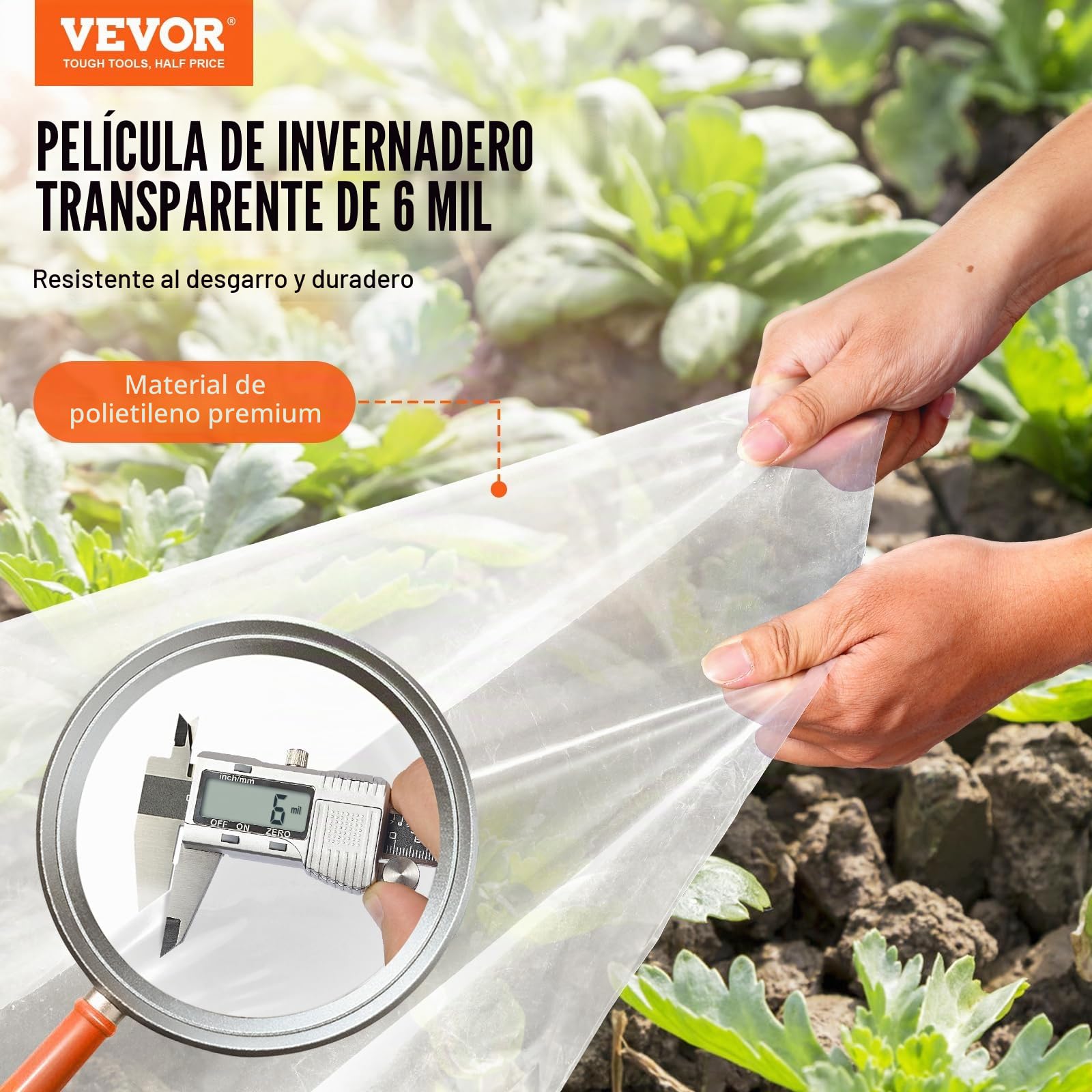 VEVOR Cubierta de Invernadero Cubierta de Plástico Transparente para Invernadero 7,6x7,6 m​ Espesor de Película de Polietileno 6 mils Resistente a los Rayos UV Protección para Jardinería, Agricultura