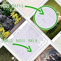 Vista 852 de Razas de Perros 2017