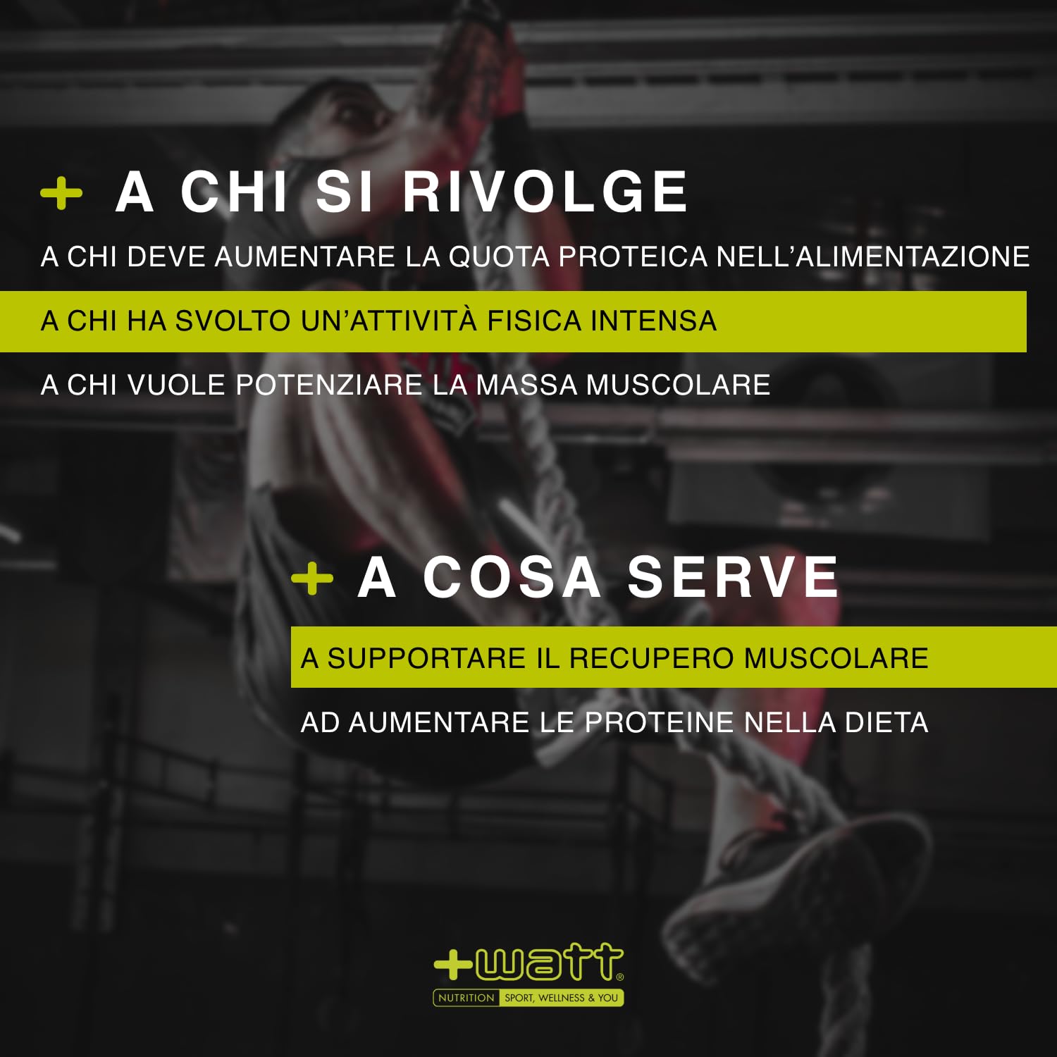 Whey Protein 90 - Proteine del Siero del Latte al 90% - Formato: 750 g Doypack - Gusto: Cacao