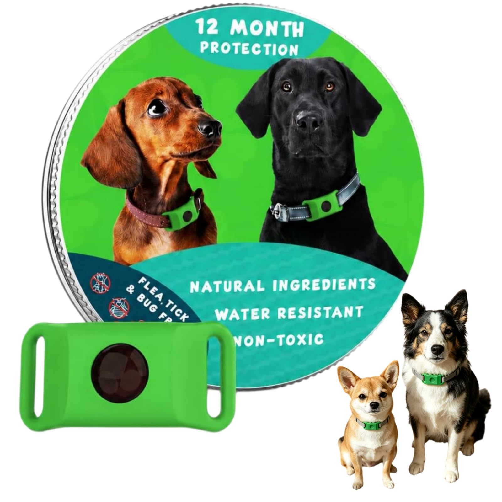 12 Monate Floh- Und Zeckenfrei Natürlicher Hunde Anhänger Ohne chemische Pestizide, pflanzlicher Schutzclip mit langsamer Duftfreigabe für alle Hunderassen (Grün,1 Stück)
