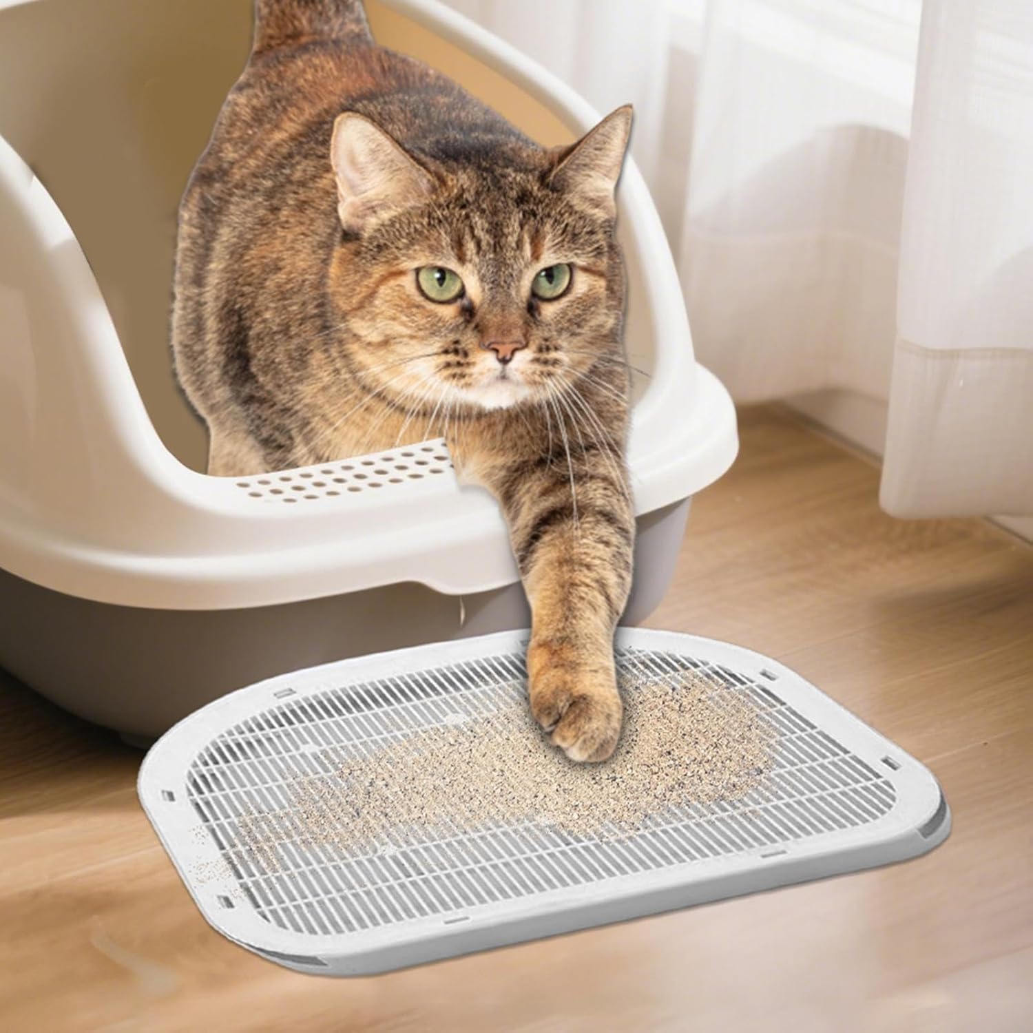 Cat Litter Box Step – Elevated Ramp, Easy-Clean Double-Layer Design, Non-Slip Trapper | Convenient Accessory for Kittens, Cats, Indoor Pets, Home Use, Floor Accessibility, Pet Hygiene, Comfort
