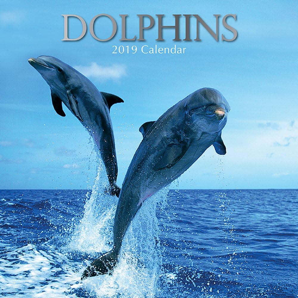 Amazon.com: 2019 Wall Calendar - Dolphins Calendar, 12 x 12 Inch ...