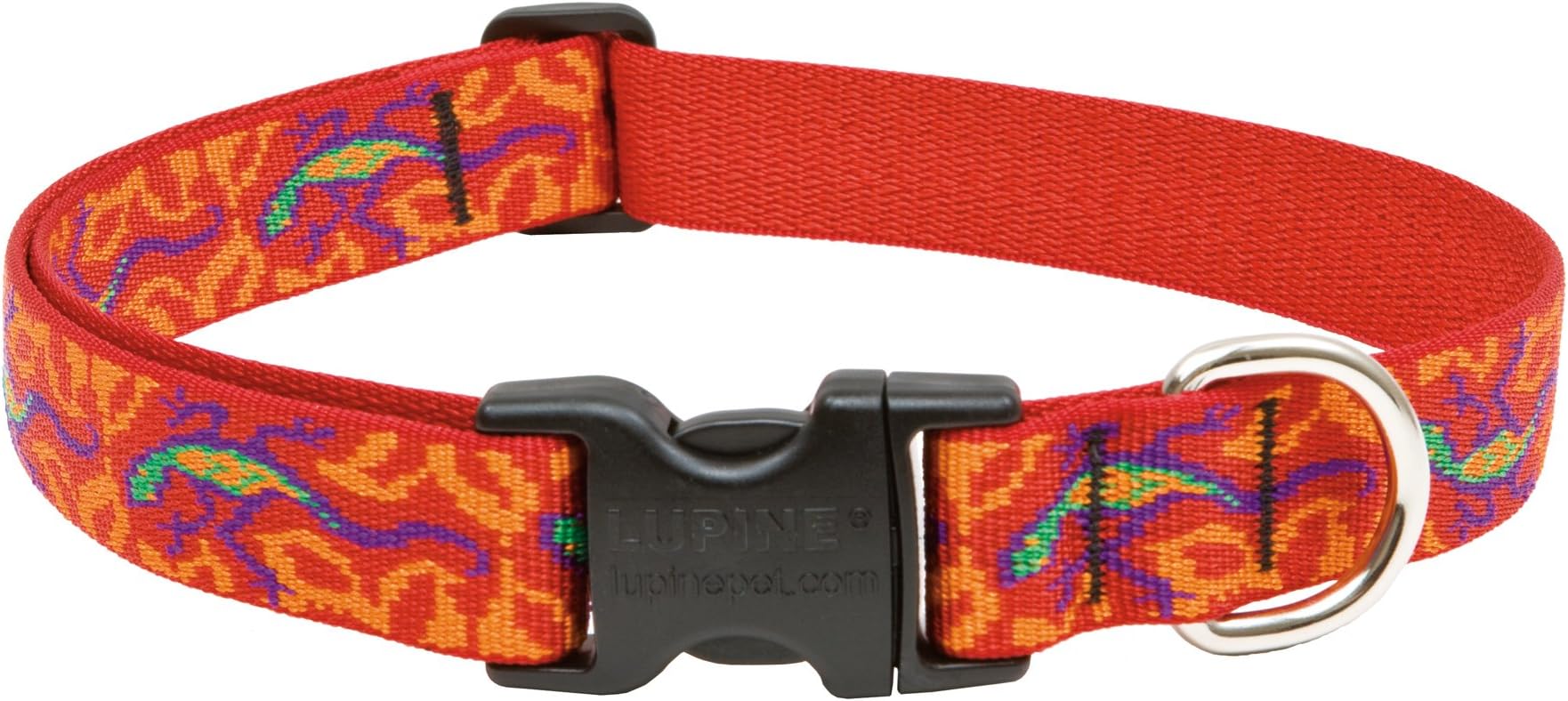 Lupine Go Go Gecko Patterned Adjustable Dog Collar for Medium/ Large Dogs 1-inch/ 12 - 20-inchGo Go Patterned