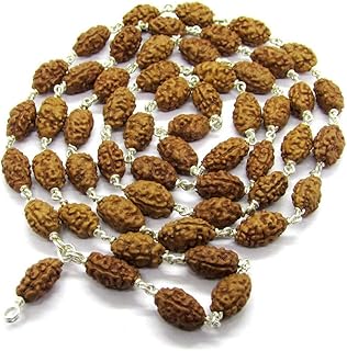 Sharvgun 2 Mukhi Rudraksha Mala Original 54 Beads in Silver Two Faced Moon Rudraksha Mala 12mm-14m Rudraksha Mala Rudraksh Mala Rudraksha Japa Mala Beads Prayer Beads Prayer Chain Wrist Mala