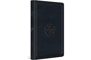 ESV Large Print Value Thinline Bible (TruTone, Navy, Mosaic Cross Design)