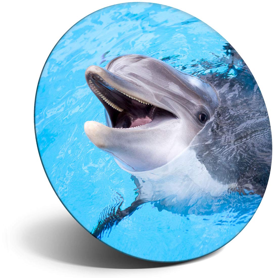 Destination Vinyl Ltd Magnet For Refrigerator, Fridge - Happy Dolphin Ocean Water For Office, Cabinet And Whiteboard, Magnetic Stickers, 14574