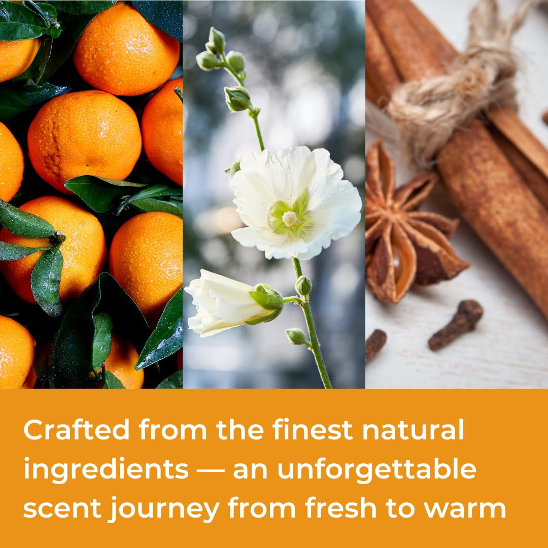 ARIS Extreme Intense Eau de Parfum for Men – Long-Lasting Woody Citrus Fragrance – 100ml Cologne Spray for Daily or Evening Wear – Comes with Extra 15ml Sample (Random Scent Included) - Image 4