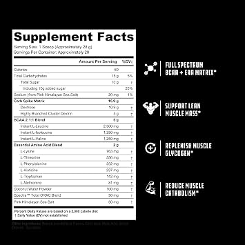 Cutler Nutrition Repair Peach Mango Recovery Powder, 20 Servings, 20 oz
