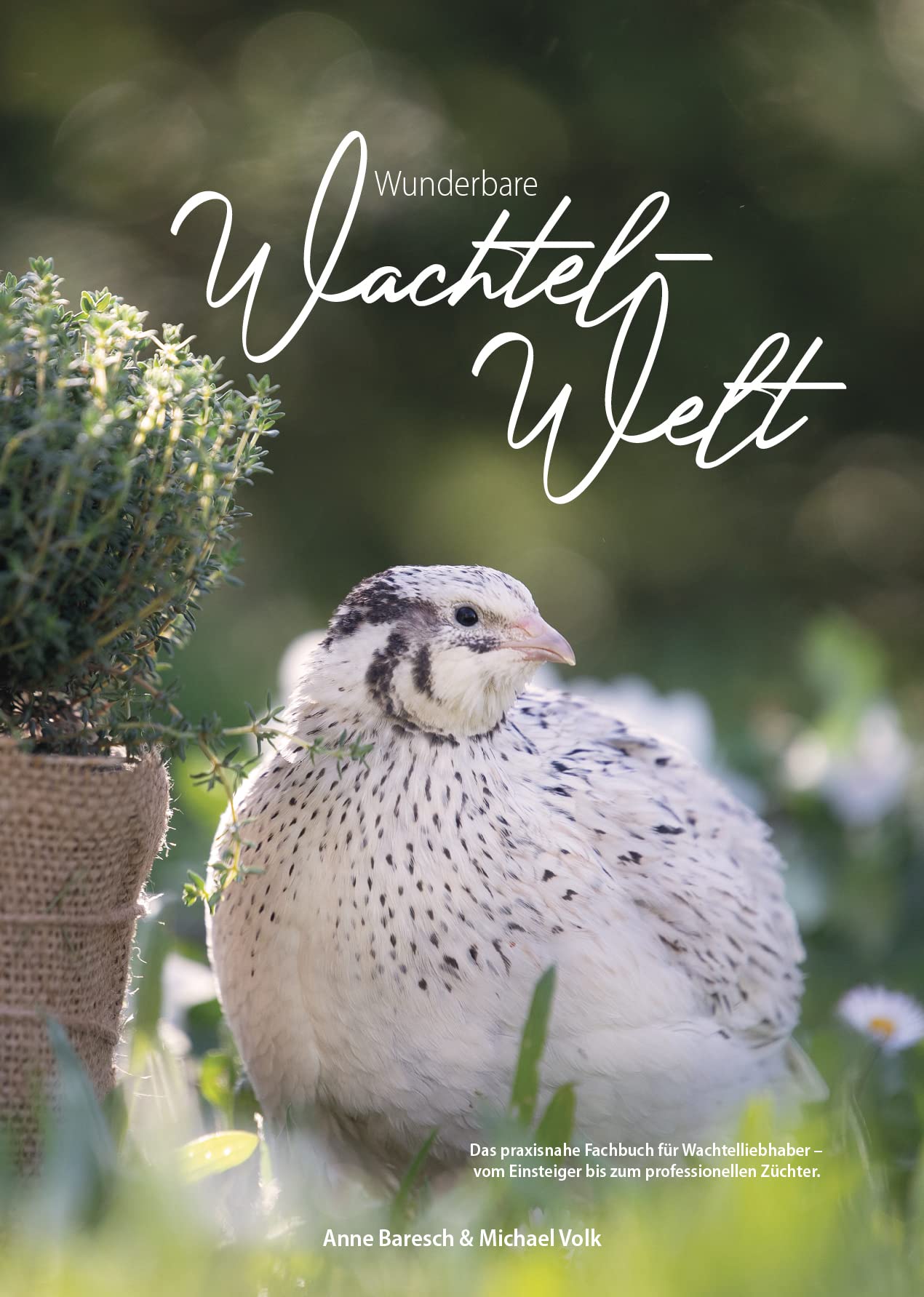 Wunderbare Wachtel-Welt - 2. Auflage