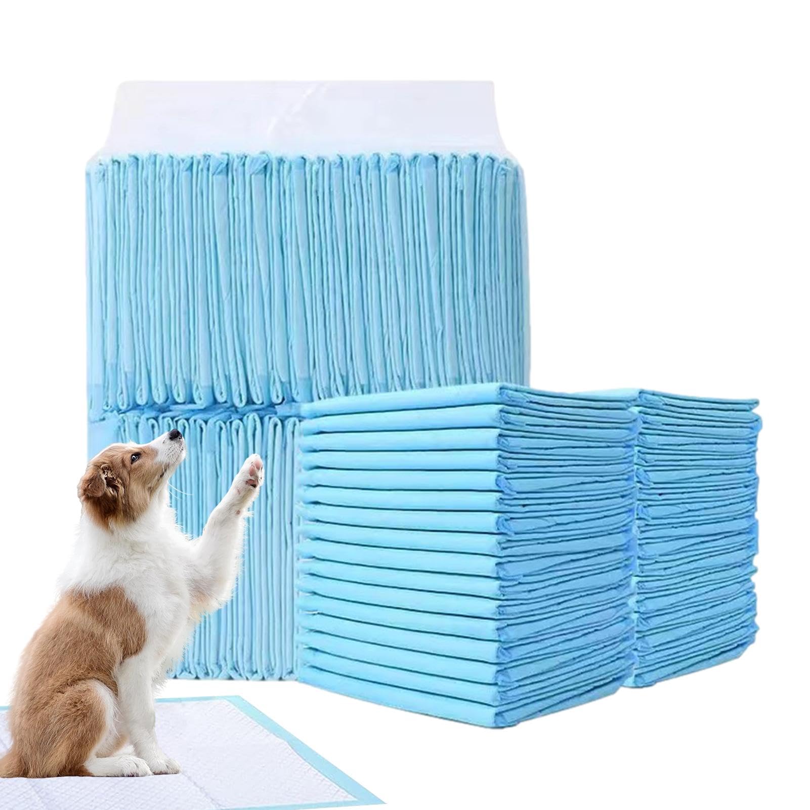 Tapis super absorbants pour chiens et chats idéal pour protéger vos sols
