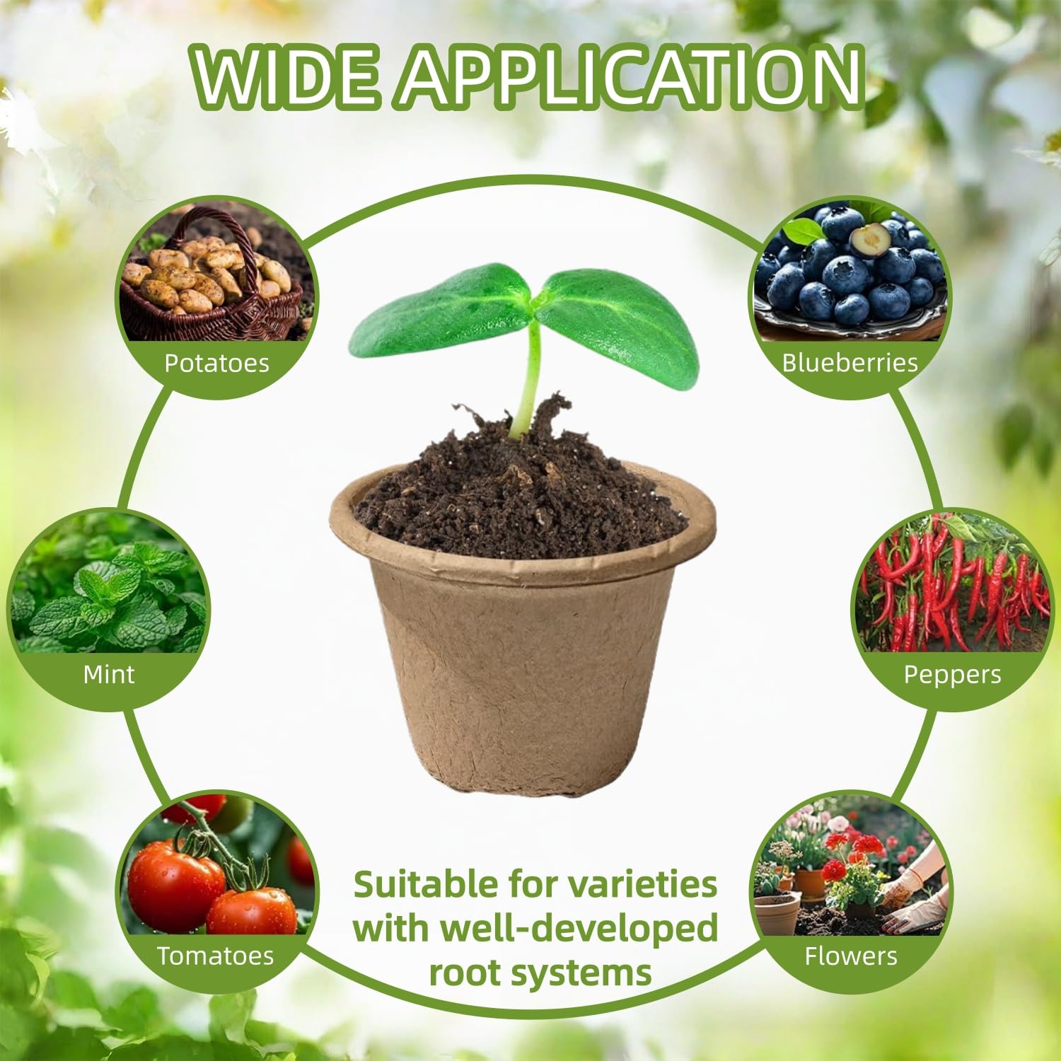 50 Piezas Grande Macetas Biodegradables, 11cm Semilleros de Germinacion, Redondas Macetas con Agujeros de Drenaje, con 1 Botella de Pulverización, para Plantasde de Semillero, Flores, Plantas