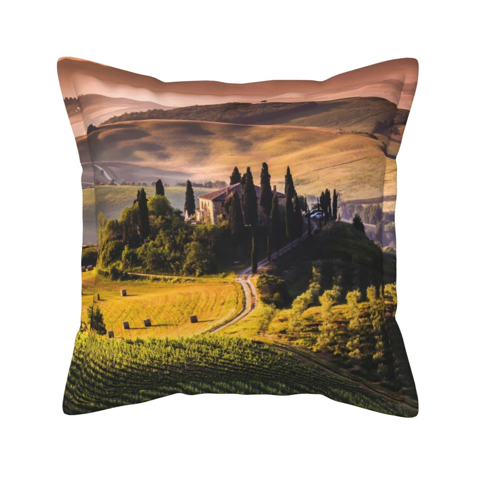 Housses de coussin en similicuir toscane pour embellir votre salon