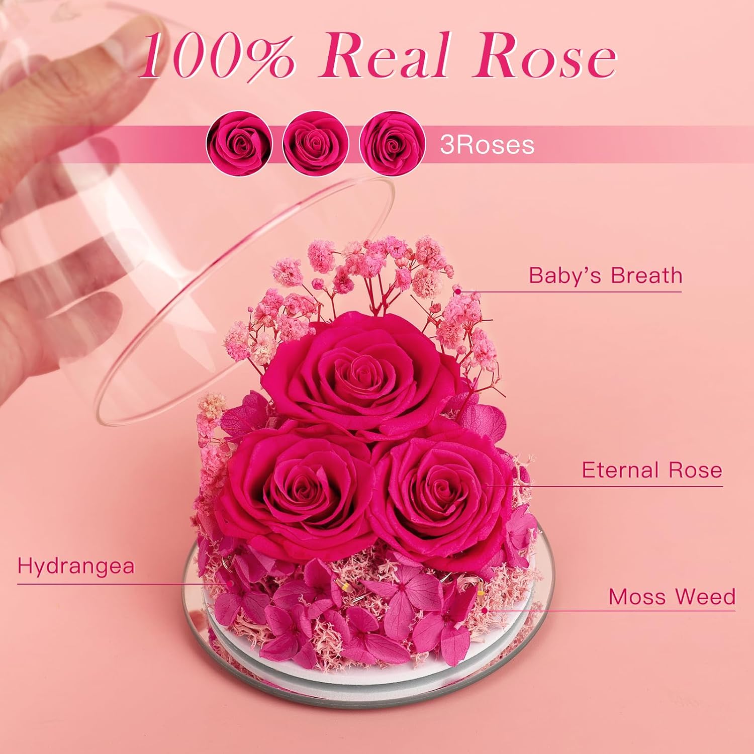 Valentines Day Gifts for Her Women Preserved Flower Rose, Forever Eternal Fresh Flowers in Glass Angel Figurines Flowers for Delivery Prime for Grandma Mom from Daughter Wife Mothers Day Birthday Pink - Image 2
