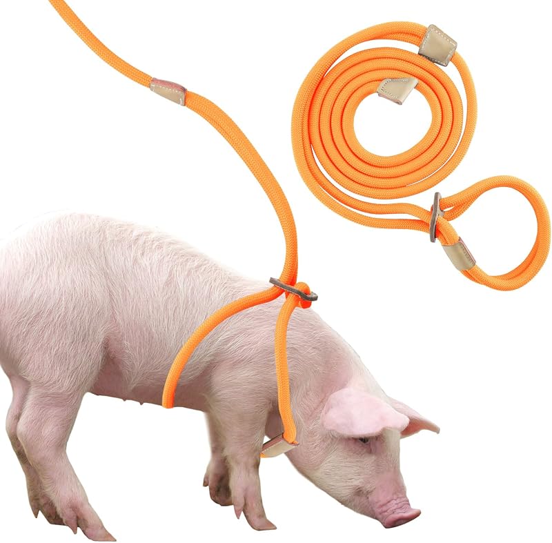 Peitoral com Guia para Mini Porcos Jinkoozz, Corda de Nylon com 2,44 m, Ajustável