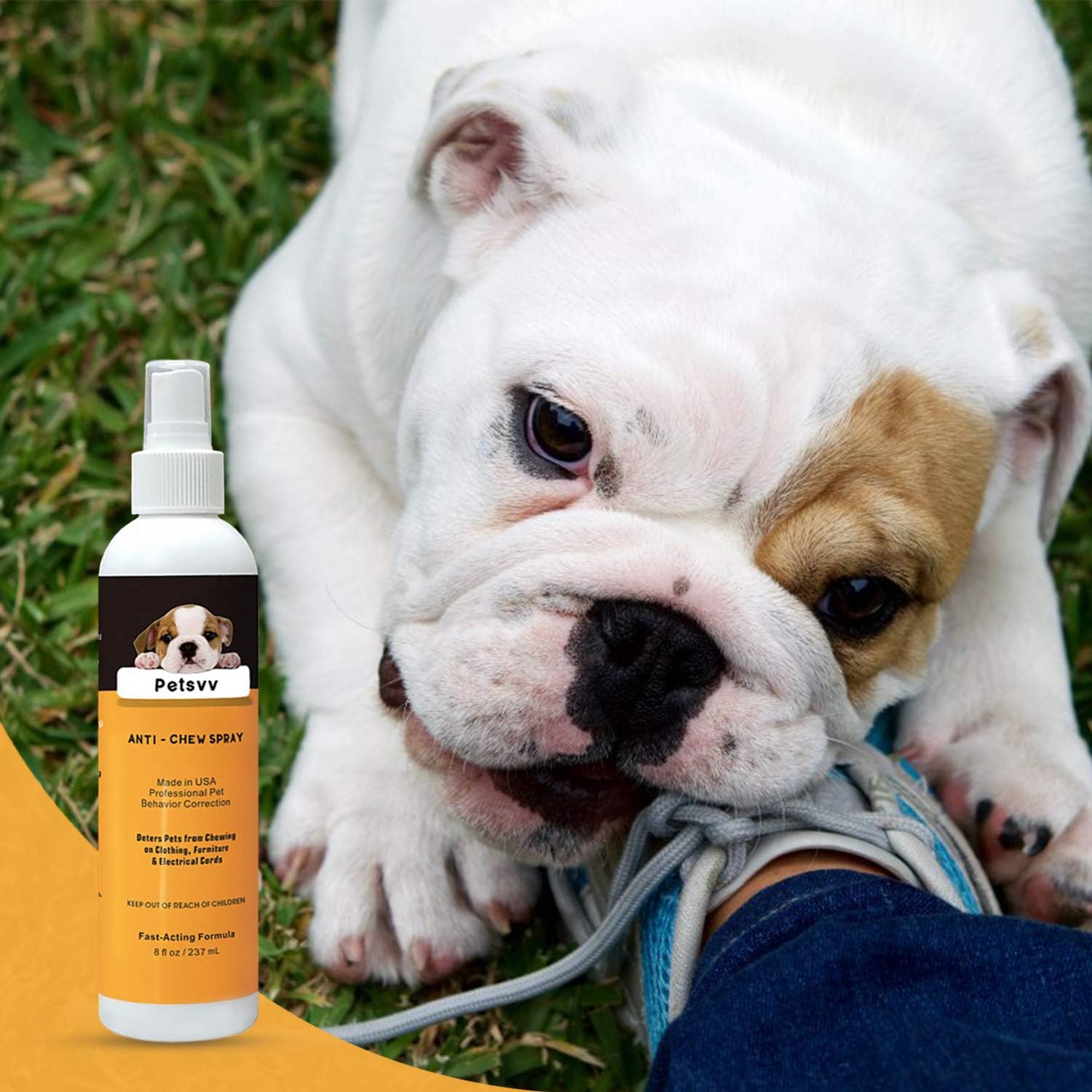 No Chew Spray Deterrent for Dogs