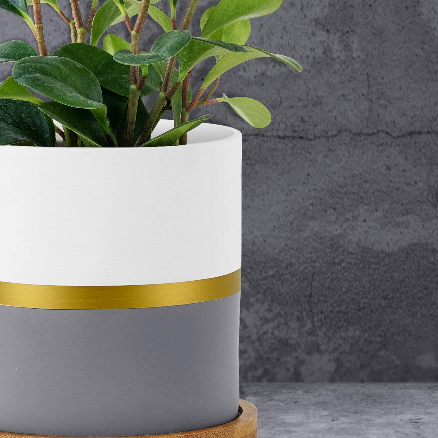 homenote 5.5/4.8/4 Inch Ceramic Plant Pot, Modern Gold and Grey Detailing Indoor Planters with Drainage Hole Bamboo Trays for All House Plants, Flowers, and Succulent