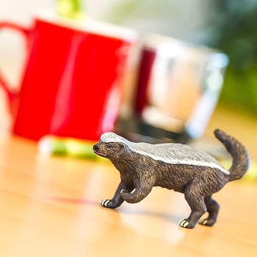 Miniatura 7 de Safari Ltd. Honey Badger - Figura de modelo realista de 4.5 pulgadas pintada a mano, divertido juguete educativo para niños, niñas y niños a partir