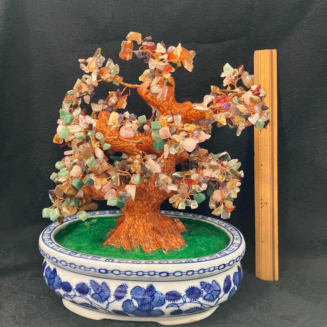 日本トキソウ【3.5号ポット】10点 日本トキソウ【3.5号ポット】5点