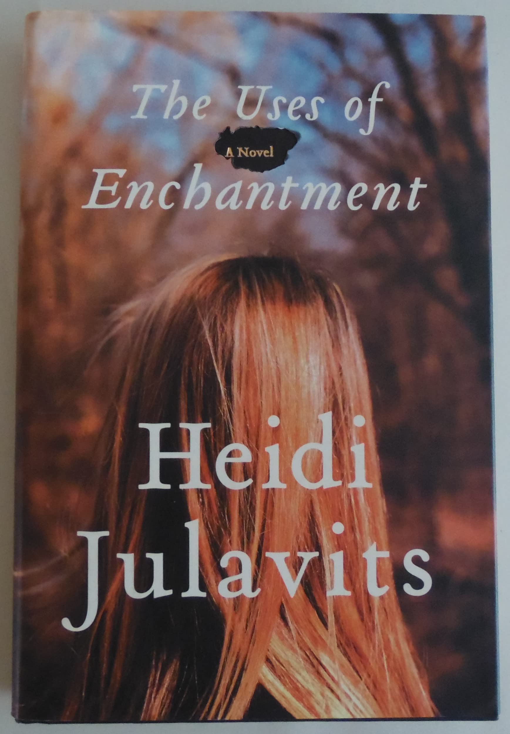 Amazon.com: The Uses of Enchantment: A Novel: 9780385513234: Julavits,  Heidi: Books