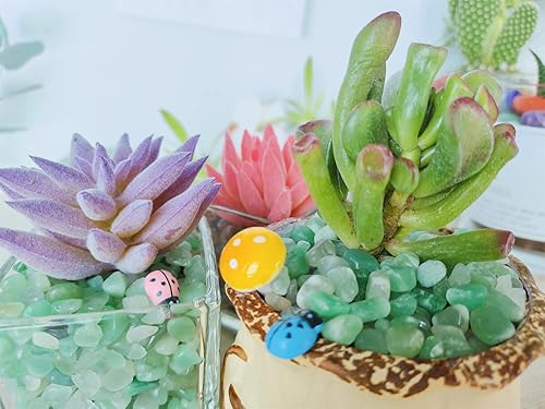 Miniatura 4 de ZHIYUXI Piedras de cristal de aventurina verde para pecera, grava, jarrón de relleno de piedras trituradas, cristales curativos pulidos, piedra de