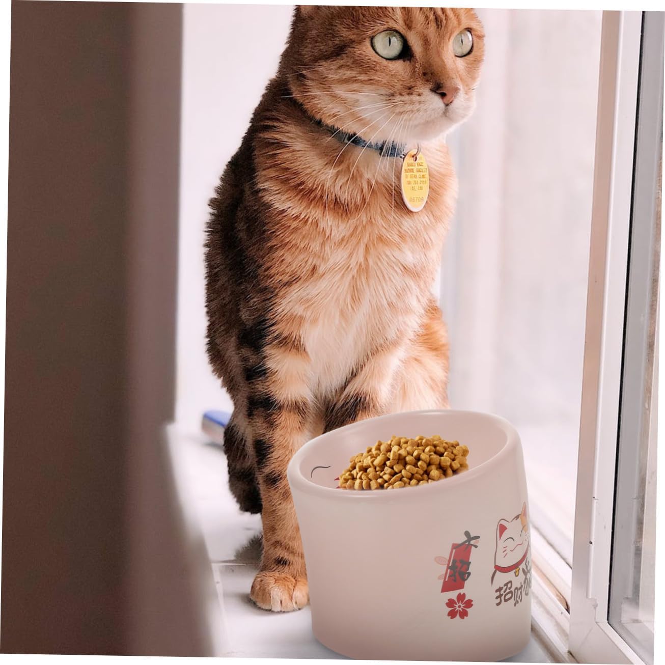 Ceramic Elevated Cat Bowl with Neck Protection Anti-Spill Pet Feeding Dish Pink High Footed Cat Bowl and Kittens