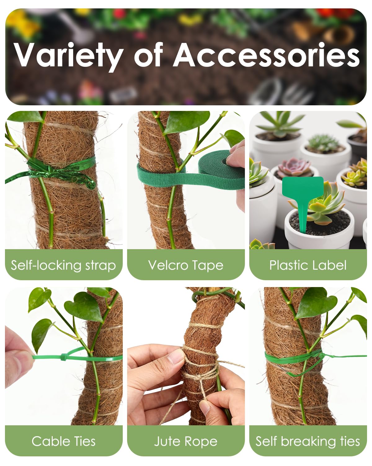 Monstera Rankhilfe 60 cm (2er Set) - Flexible Moosstab fr Monstera aus  Kokosfaser inkl. Zubehr und Pflanzensttze fr Kletterpflanzen im  Innenbereich : Amazon.de: Garten