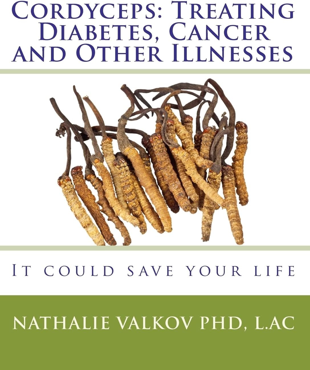 Cordyceps: Treating Diabetes, Cancer and Other Illnesses: It could save your life