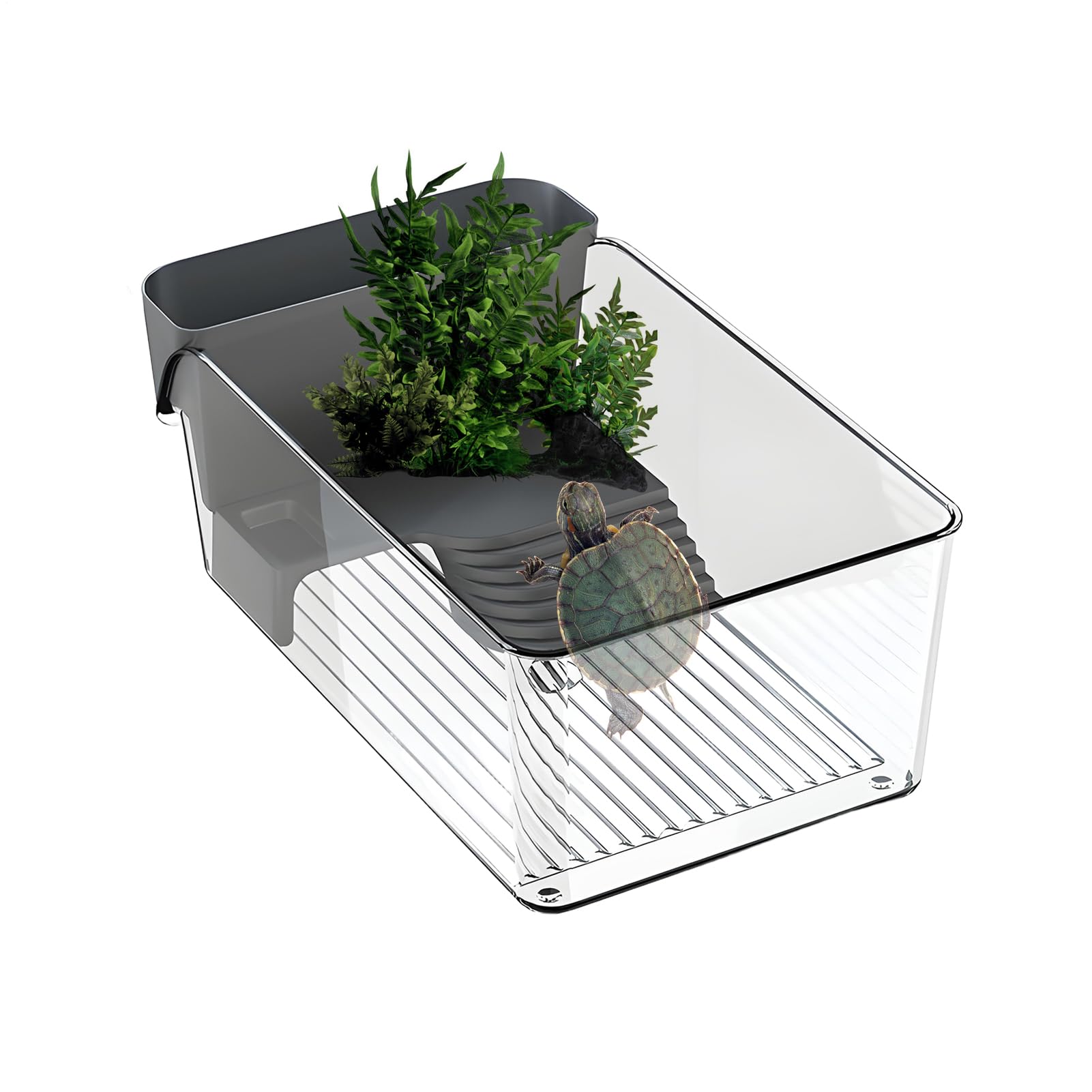 Aquarium pour tortues avec zone de pèlerinage pour le bien-être des reptiles
