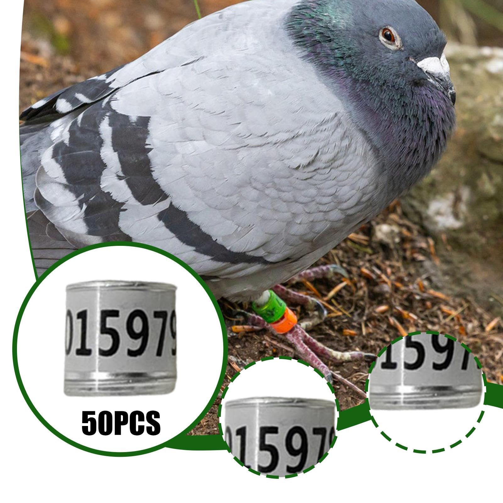 Amazon.co.jp: Generic 50点パック鳩 足環 ランダム番号付き 足環 軽量