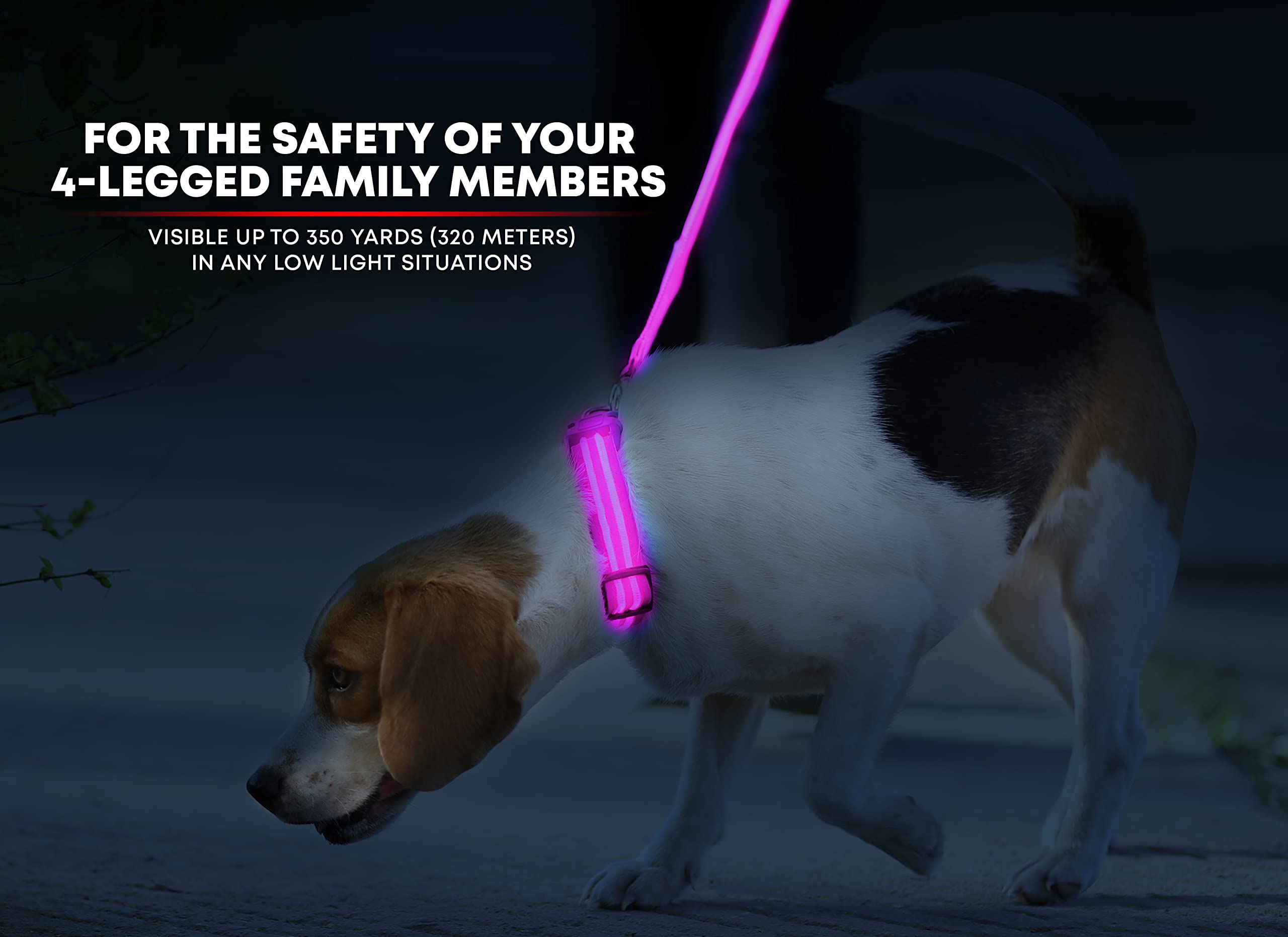 Collar LED para perro, recargable por USB, disponible en 6 colores y 6 tamaños, hace que tu perro sea visible, seguro y visto, rosa, extragrande (21.6 – 27.5 pulgadas/55 – 70 cm)