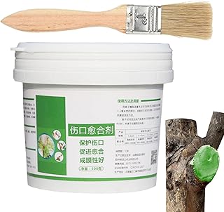 Tree Wound Sealer for Plant, Tree Wound Healing Sealant, 500g Tree Grafting Wax Smear Agent with Brush, Tree Sealant Bonsai Tree Feed Repair Tools for Bonsai Pruning