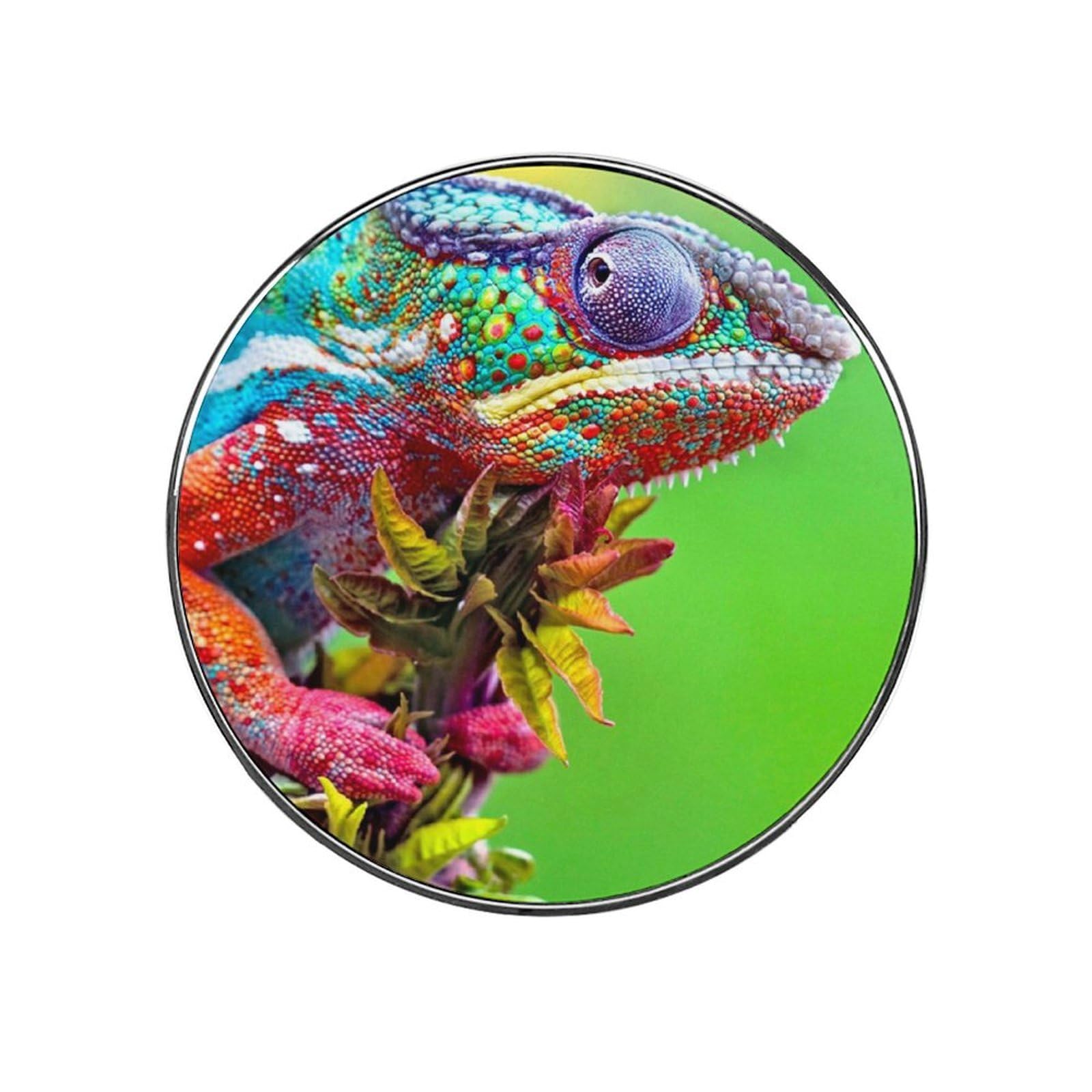 Magnets For Fridge Kitchen Decoration For Refrigerators Whiteboards