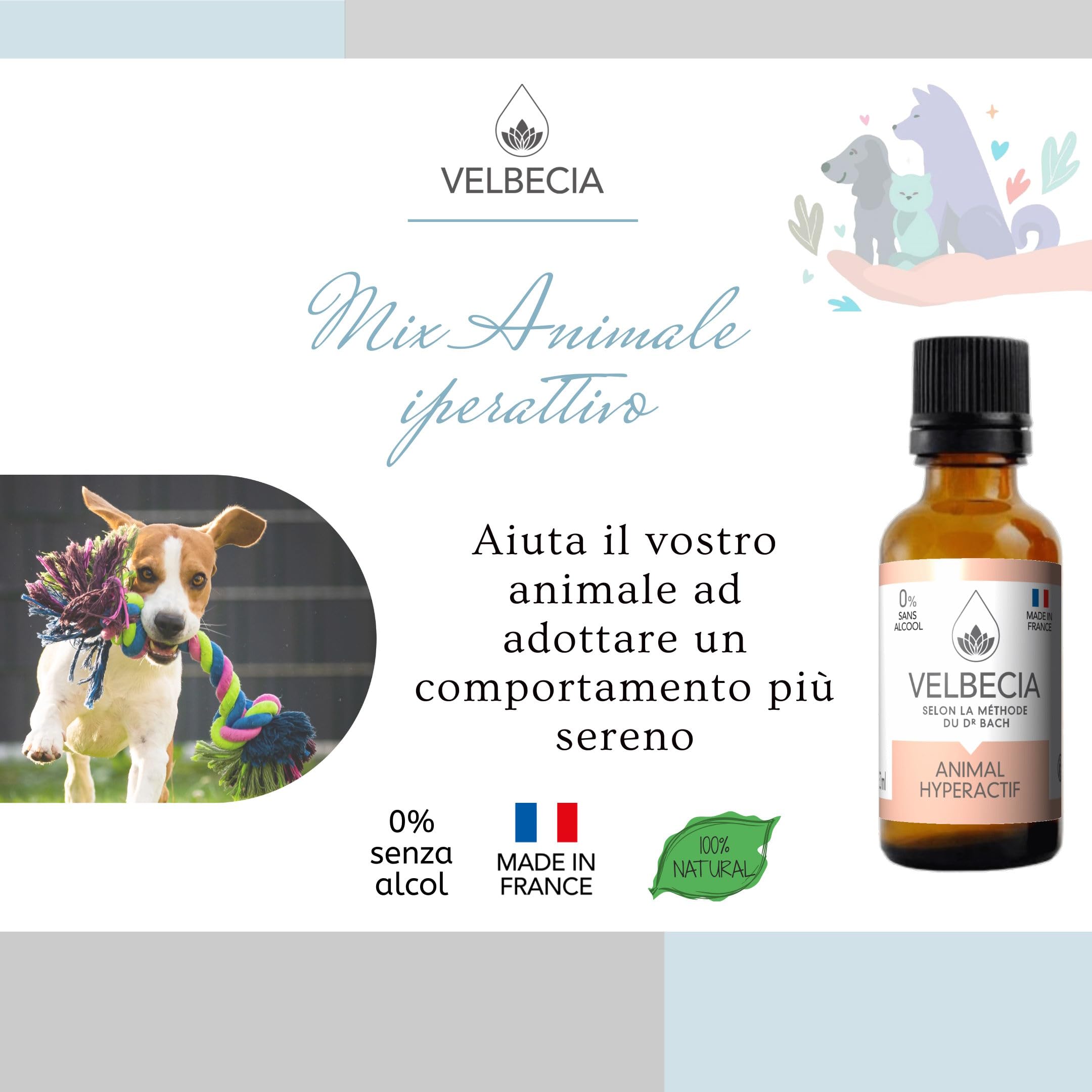 Velbecia® - Dr Bach Flowers Animale iperattivo 30ml +1 GRATIS - SENZA ALCOL - Affinché il tuo animale sia meno agitato, più attento a te