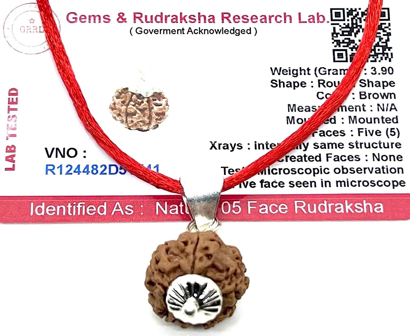 Certified 5 Mukhi Rudraksha Pendant Necklace - Taurus & Libra Birthstone - Throat Chakra Alignment