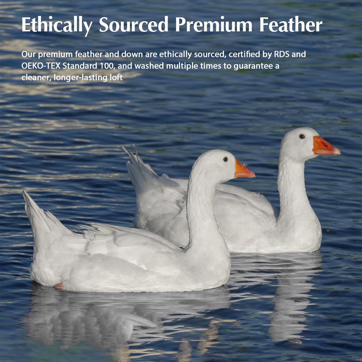 Pacific Coast Goose Feather Down Comforters King Size, 100% Cotton Extra Fluffy White Duvet Insert, Soft, Breathable, All Season Hotel Luxury Bedding Comforters, 8 Corner & Center Loops (106"x90") - Image 5