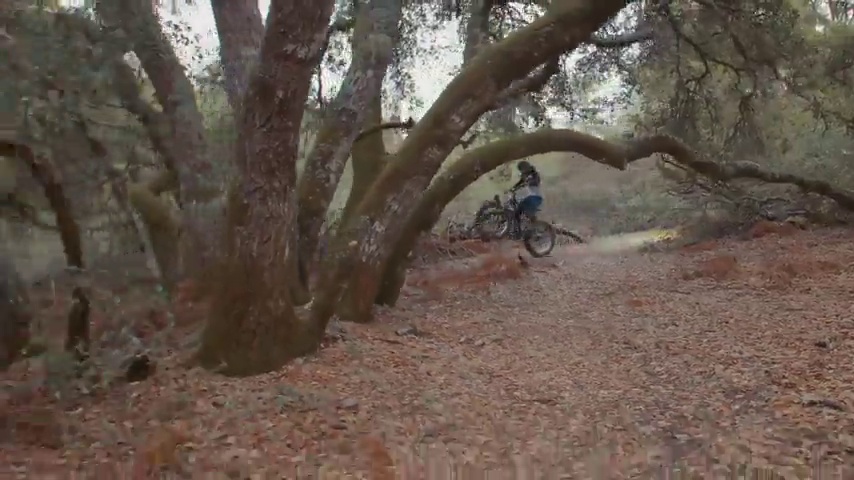 mongoose argus expert