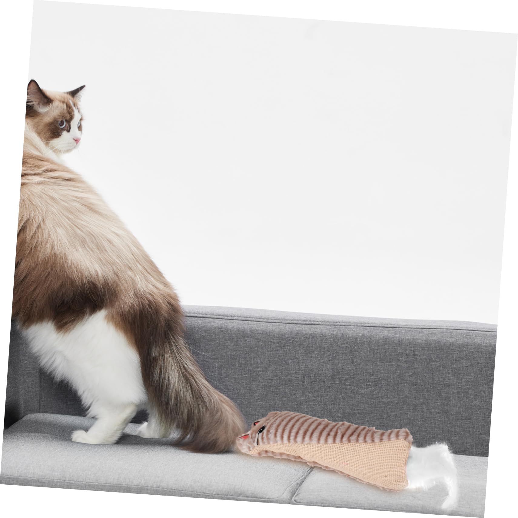 Sosoport Jouet en Papier Sisal – Jouet Interactif À Mâcher Idéal pour Les Chats Dintérieur