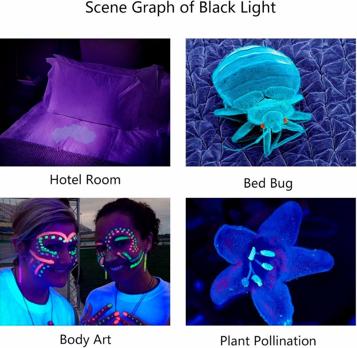 UV Flashlight Black Light, Y40 Flashlight, LED 365NM UV Torch Light, LED Blacklight Pet Urine Detector for Dog, Cat Urine, Dry Stains, Bed Bug, Resin Curing, Scorpions
