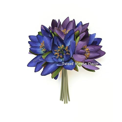 Lotus Flower Stem Amazoncom