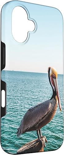 Vista 87 de iPhone 11 Pelican Case