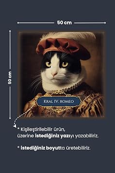 Pi Papers İki Renkli Kedi Poster, Statik Kağıt Premium Baskı Poster, Siyah Beyaz Kedi, Yapay Zeka Tasarım