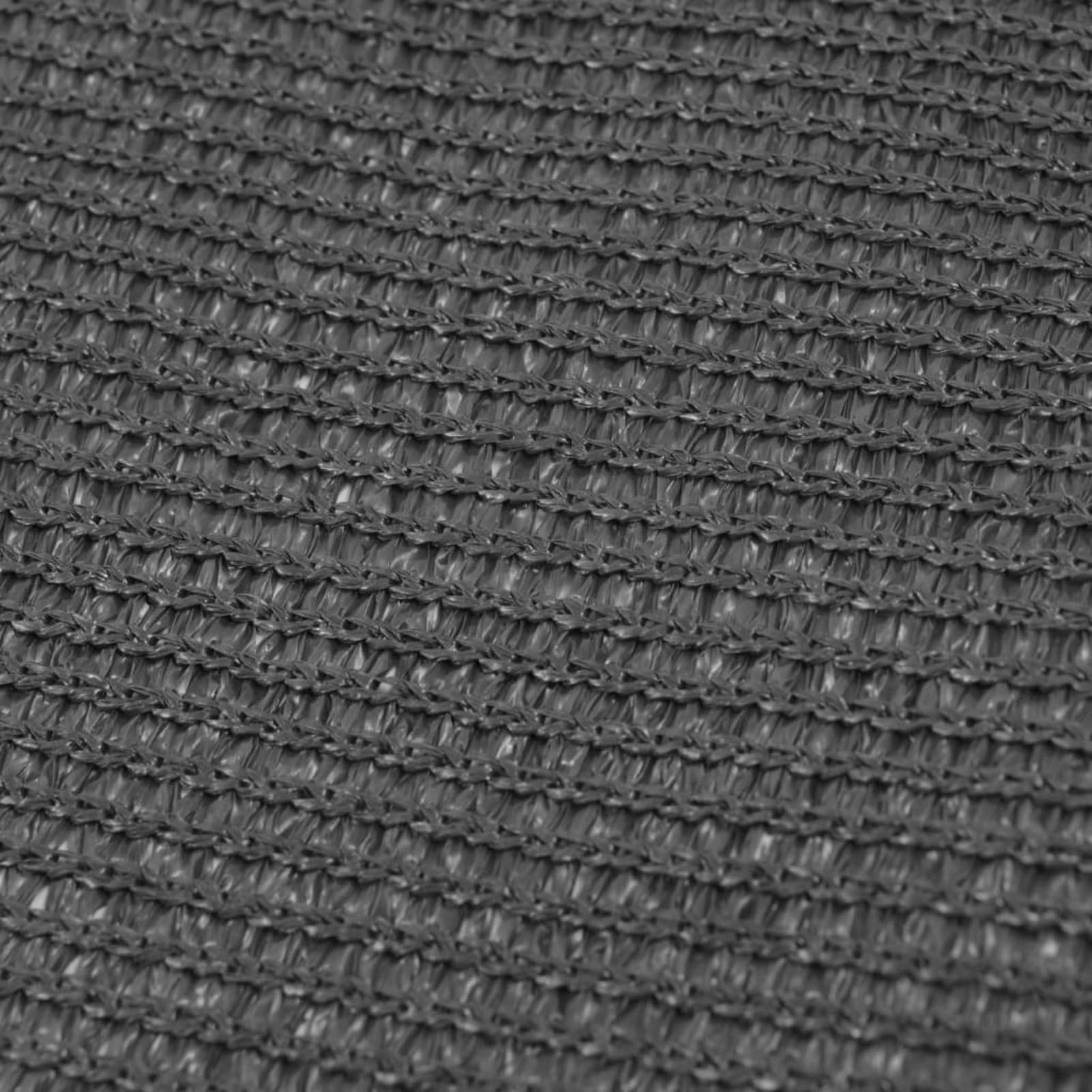 Zeltteppich, Vorzeltteppich, Camping Plane, Teppich Für Camping Vorzelt, Bodenplane Zeltunterlage, Camping Teppich Outdoor, 300 x 500 cm Anthrazit