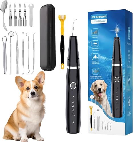 Removedor de placa para perros, limpiador ultrasónico de dientes de 5 modos, removedor de sarro de dientes de perro, kit de limpieza de dientes para