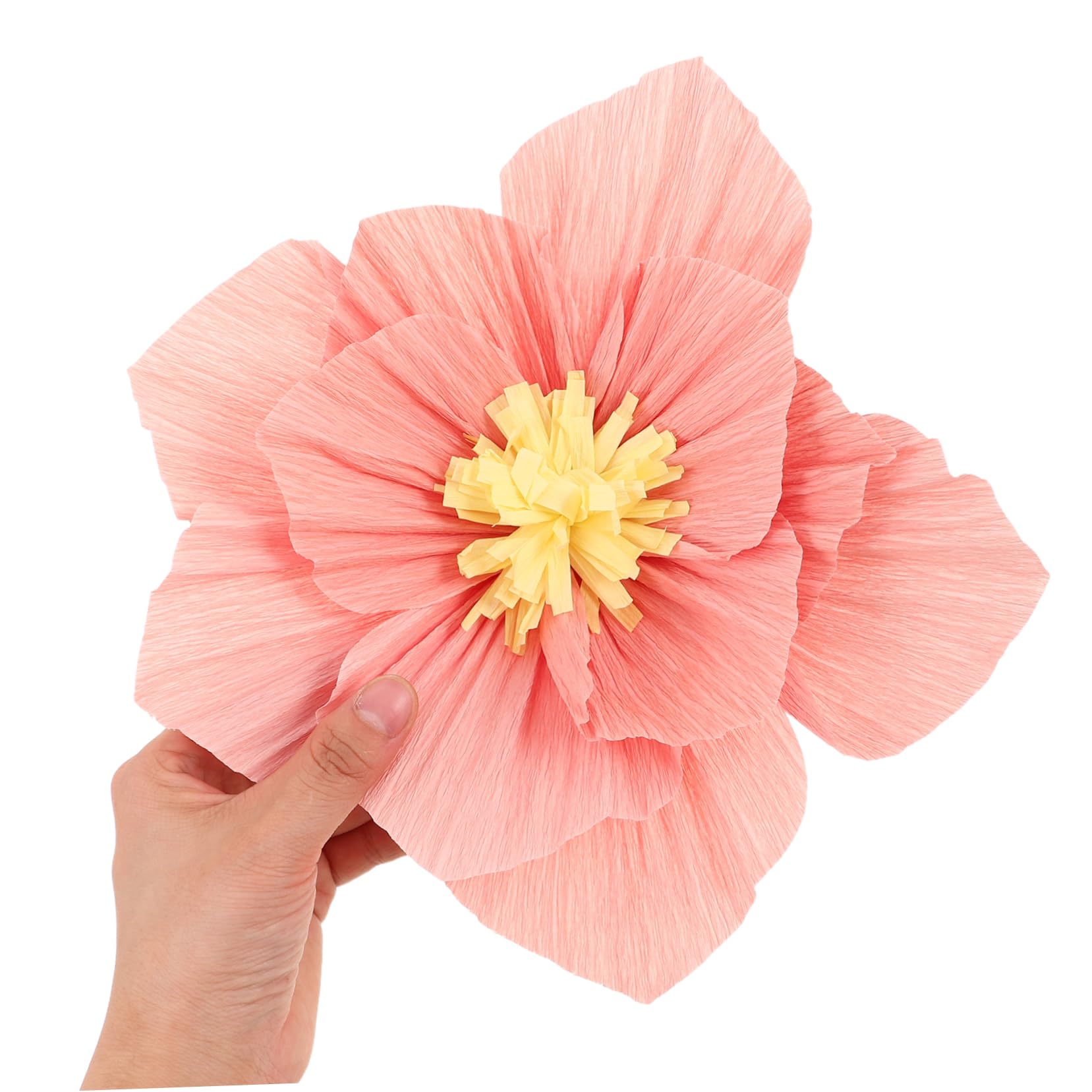 Fleurs en Papier Crépon 24 Pièces pour Décoration Murale 3D