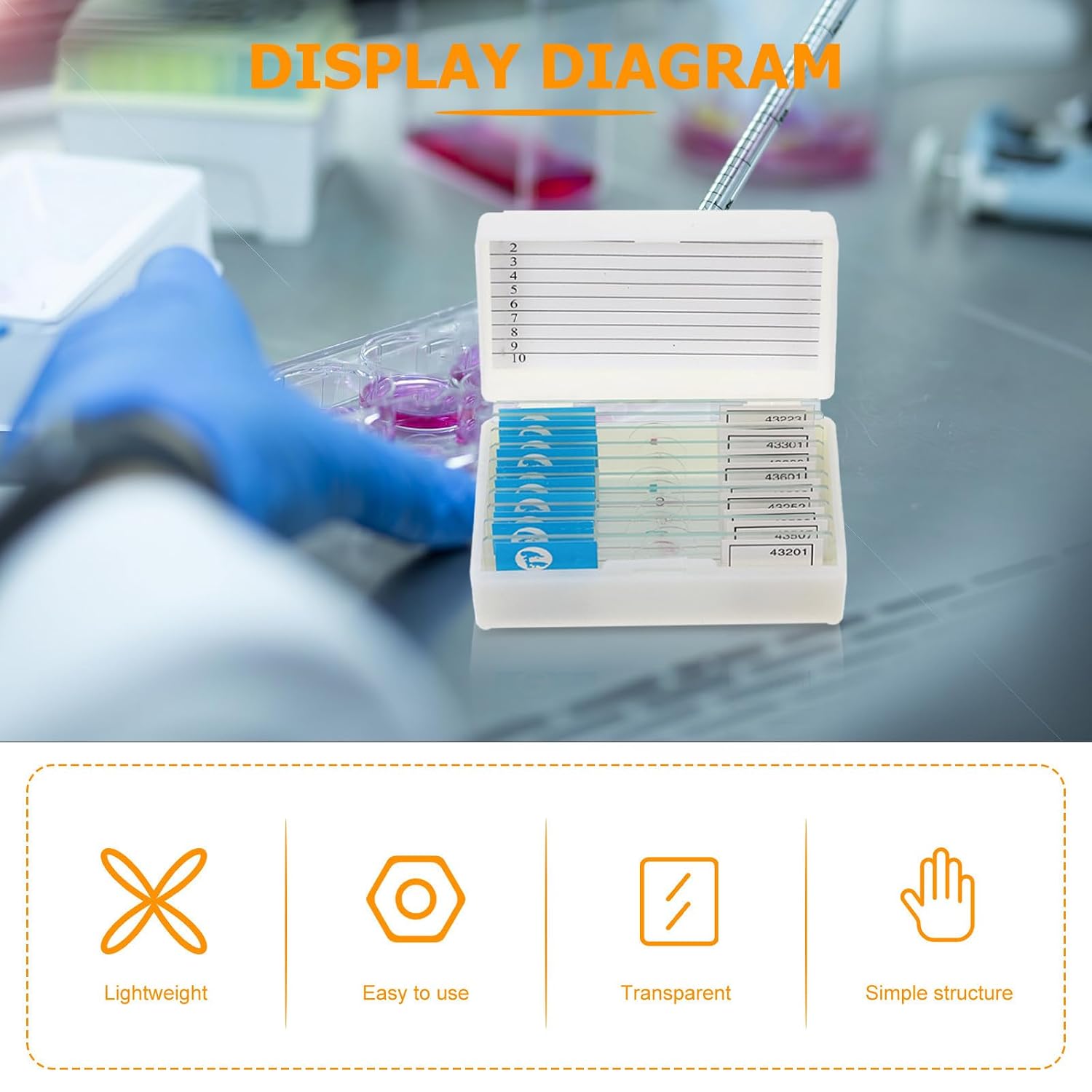 Professional Microscope Slides Set for Biology Education Glass Specimens