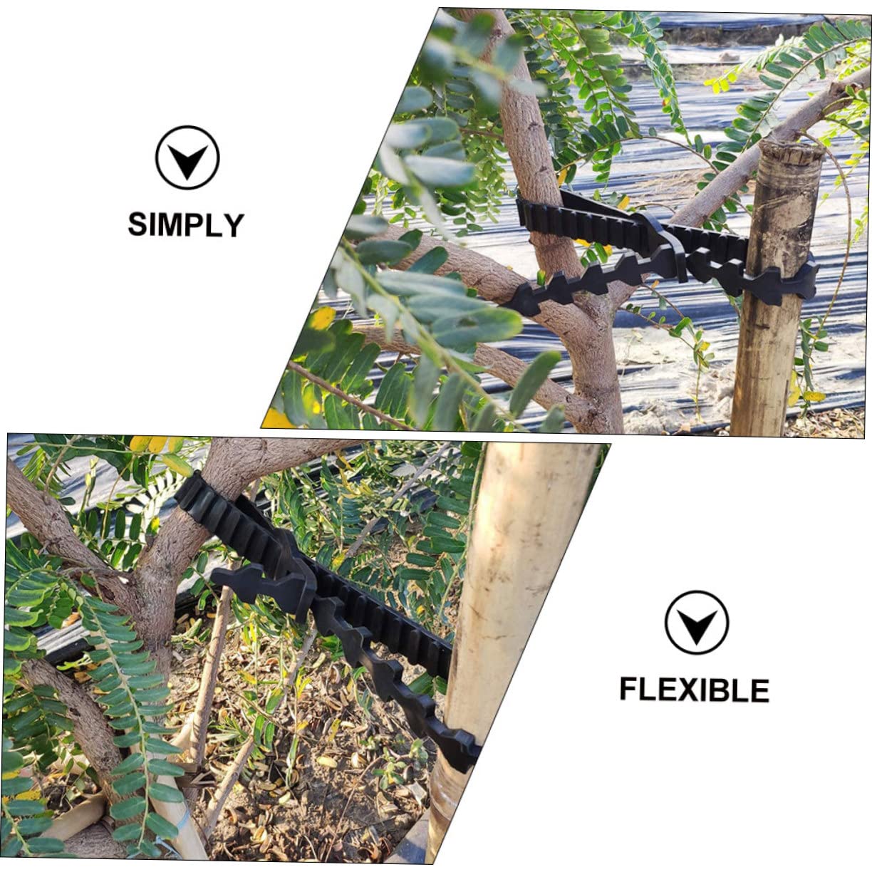Gatuida Verstellbare Baumbindungsgürtel zum Fixieren und Trainieren 10 Stück aus Gummi Langlebige Baumpfahl Stützbänder für Pflanzen und Bäume von Jungpflanzen im Garten