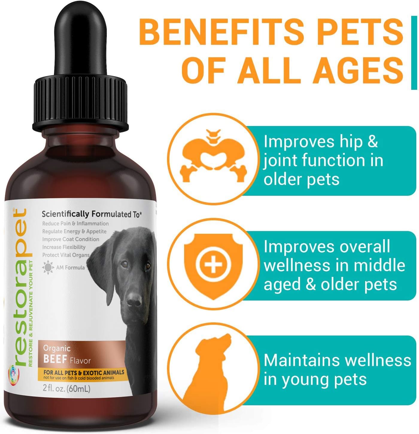 RestoraPet 2-Pack Dog & Cat Beef Liquid Multivitamin | Dog Arthritis Pain Relief | Hip & Joint Vitamins for Dogs - Anti Inflammatory Supplement for Dogs & Cats | Organic & Non-GMO, Vet Approved