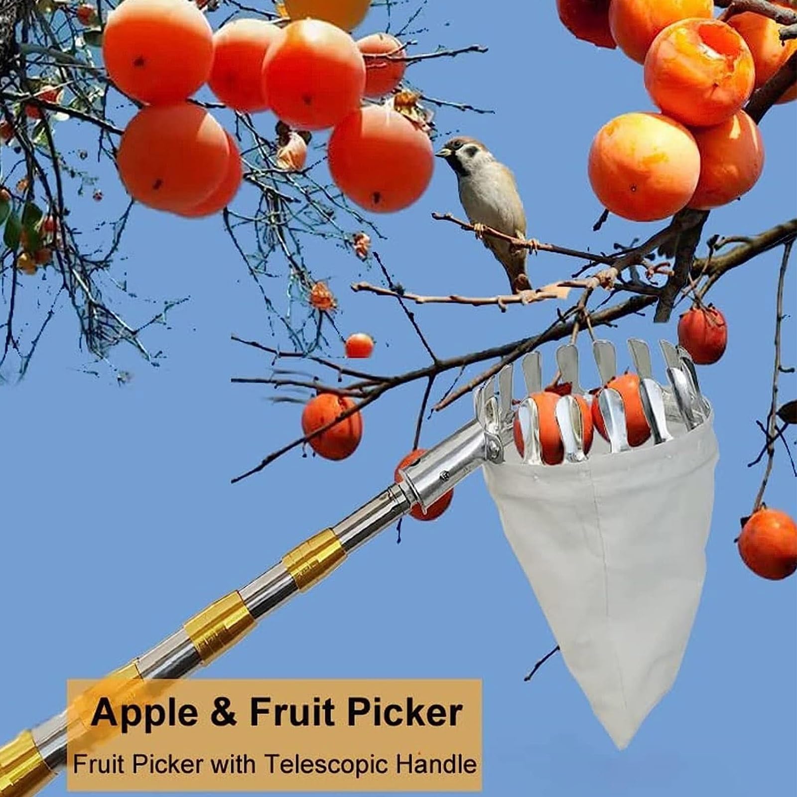 ApfelpflüCker Mit Teleskopstiel 2.1/2.5/3/ 4/5/ 6/7 M, ApfelpflüCker, ObstpflüCkausrüStung Beerenpflücker Mit Obst Aufbewahrungstasche Für Apfel Orange Zitrone,7m/23ft(4m/13ft)